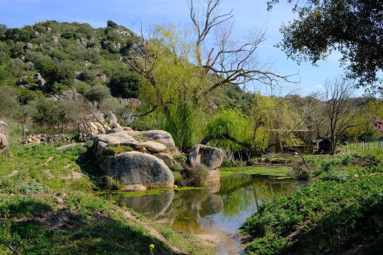 Il Nuraghe Del Lago Coghinas Oschiri エクステリア 写真