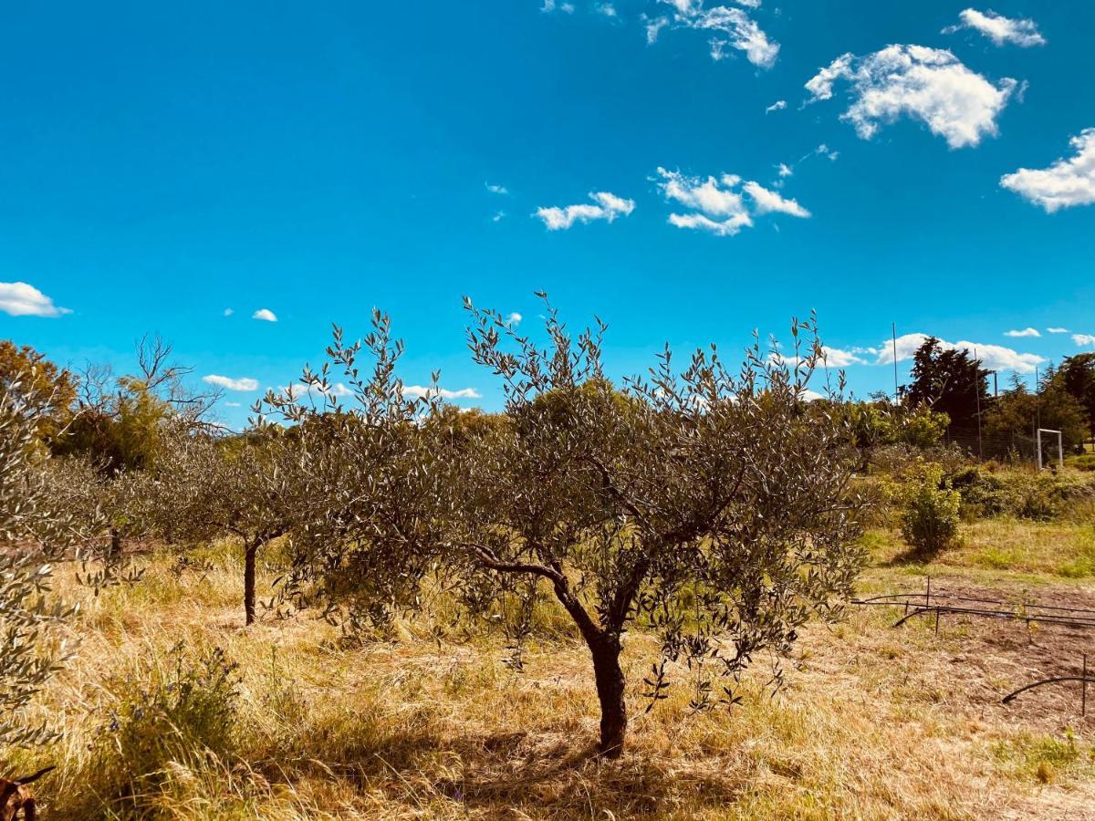 Il Nuraghe Del Lago Coghinas Oschiri エクステリア 写真