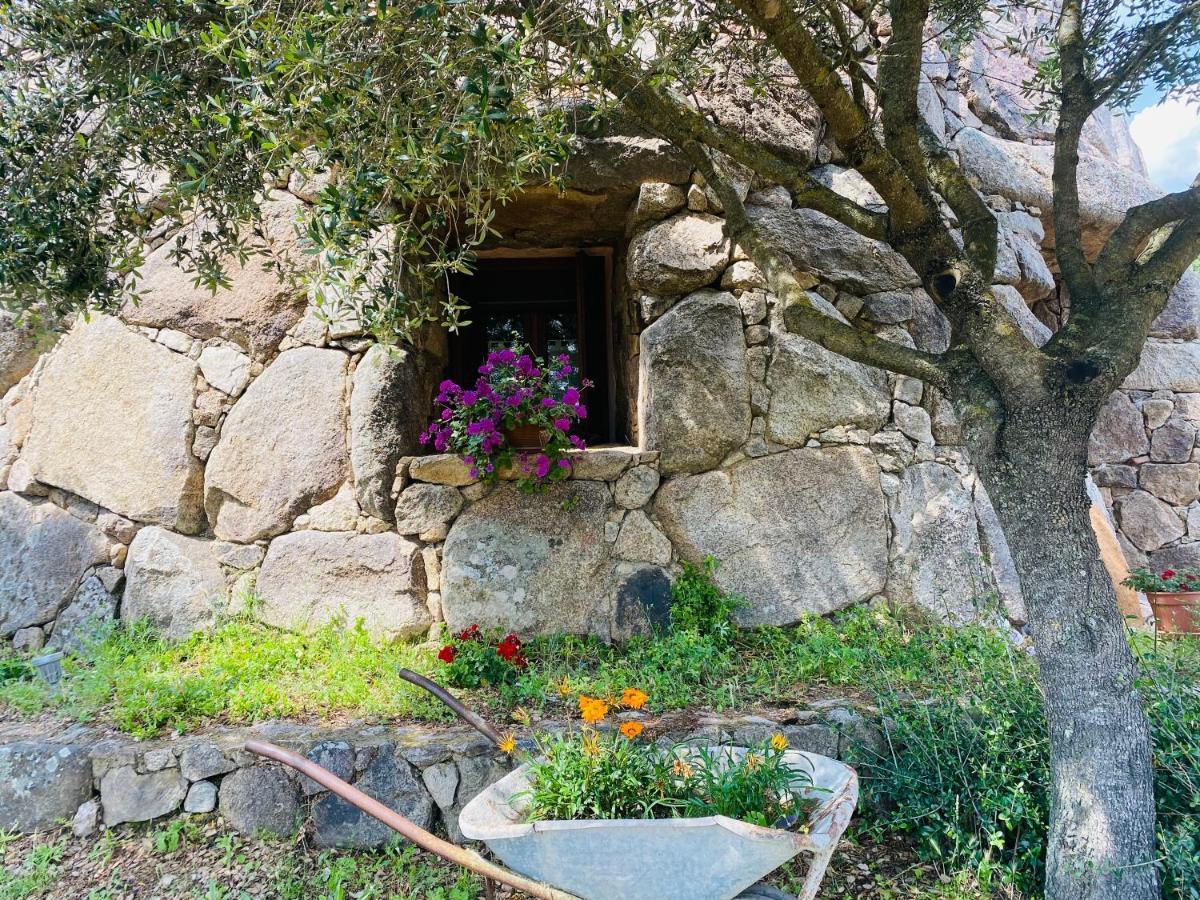 Il Nuraghe Del Lago Coghinas Oschiri エクステリア 写真