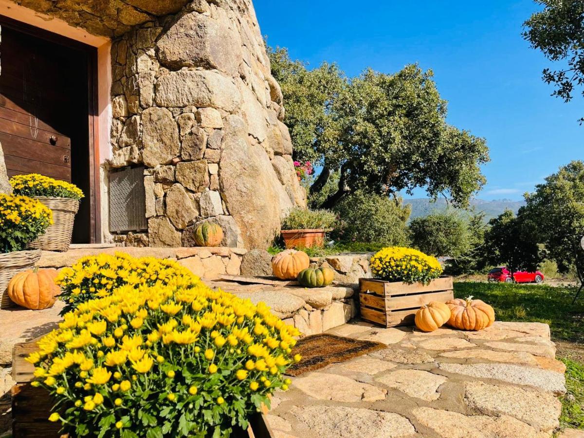 Il Nuraghe Del Lago Coghinas Oschiri エクステリア 写真